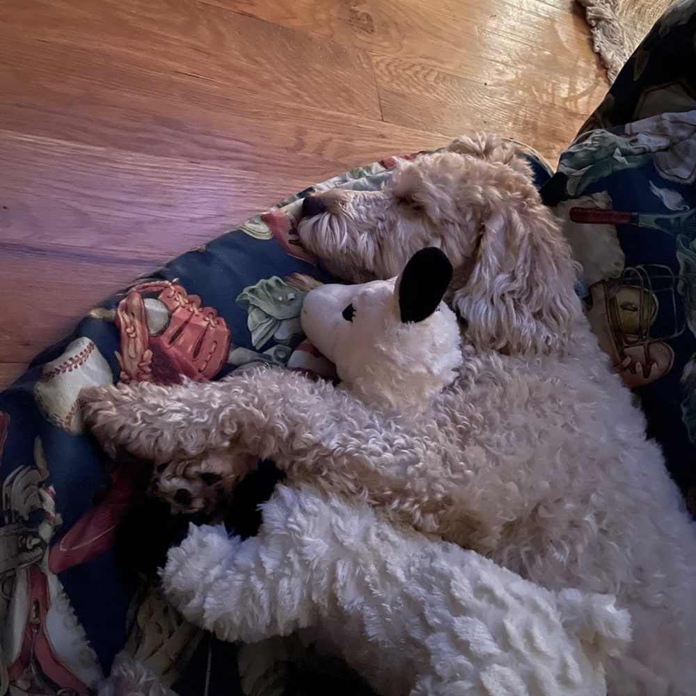 Meet your Posher, Kevin